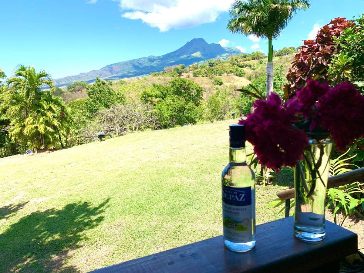 Lodge Colibris: Panoramic Sea and Mountain Views near Caribbean Beach Le Carbet Exterior photo