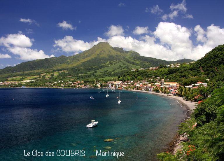 Lodge Colibris: Panoramic Sea and Mountain Views near Caribbean Beach Le Carbet Exterior photo